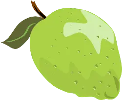 Green Apple - fruit - healthy - No Background PNG