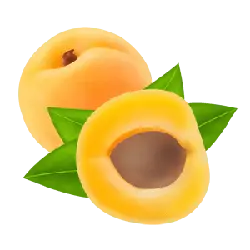 Apricot - fresh - tasty - Lossless PNG