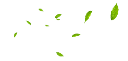Leaves Falling - green - Free Download PNG