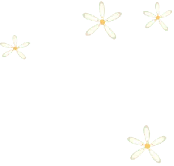 White Flowers - black background - Free PNG
