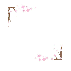 Cherry Blossom Branches - nature - PNG Images