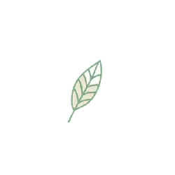 Leaf - No Background PNG - PNG Images