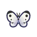 Butterfly - beautiful - Free Download PNG