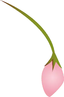 Pink Flower - growth - plant - No Watermark PNG