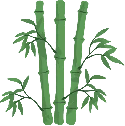 Bamboo - plant - High Resolution PNG