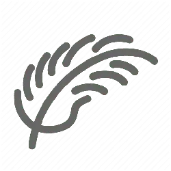 Feather - birds - Free Download PNG