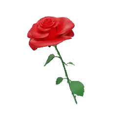 Red Rose - love - red - No Watermark PNG