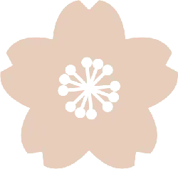 Cherry Blossom - Popular Download PNG - flower - Pic 2
