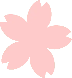 Cherry Blossom - No Watermark PNG - pink