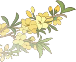 Plum Blossom - yellow - Lossless PNG