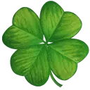 Four Leaf Clover - Free Download PNG