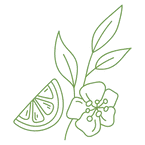 Lemon Flower - fruit - Transparent Background PNG