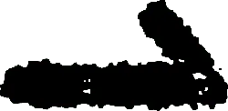 bird - Free Download PNG - Black Owl - Pic 6