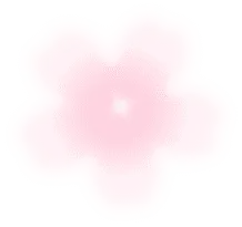 Pink Flower - pink - blurry - PNG Images