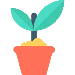 Potted Plant - growth - nature - High Resolution PNG