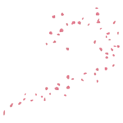 Pink Petals Falling - nature - PNG Images