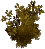 Yellow-leaved Tree Cluster - leaves - High Resolution PNG