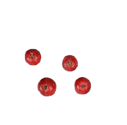Apple - fresh - healthy - Free PNG