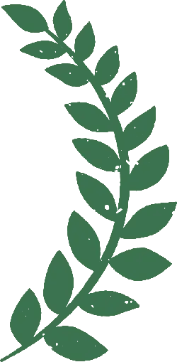 Laurel Leaf - green - High Quality PNG