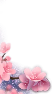 Cherry Blossom - No Background PNG