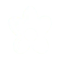 Petals Flower - line - No Background PNG