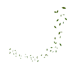 Falling Leaves - autumn - Free Download PNG
