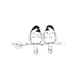 Two Birds on a Branch - line art - High Resolution PNG