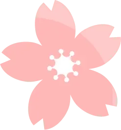 Cherry Blossom - PNG Images - No Background PNG