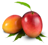 Mango - yummy - fruit - High Resolution PNG