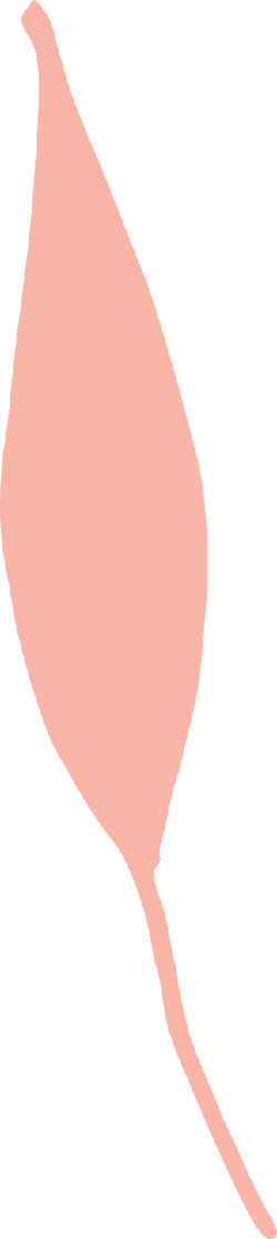 Leaf - Fast Download PNG - ecology