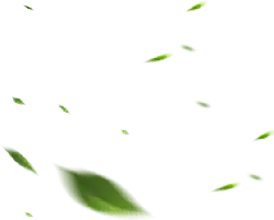 Green Light Spots - decoration - No Background PNG