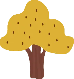 Oak Tree - fruit - High Resolution PNG