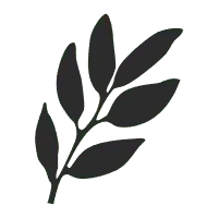 Leaf - branch - Fast Download PNG