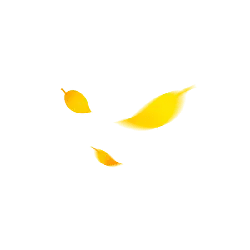 Yellow Leaves - fall - Transparent Layer PNG