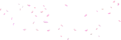 Pink Petals Falling - Highly Rated PNG - background