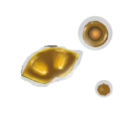 Gold Leaf - High Download Count PNG