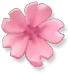Pink Flower - Trending PNG - beautiful