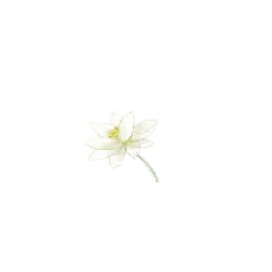 White Flower - white - Lossless PNG