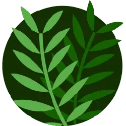Green Plant - green leaves - Lossless PNG