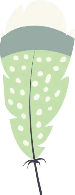 Feather - birds - decoration - No Watermark PNG