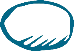 Blue Oval Pattern - graphic design - No Watermark PNG