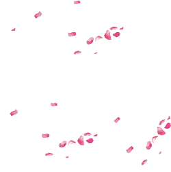 Pink Petals Falling - Designer's Pick PNG - beautiful