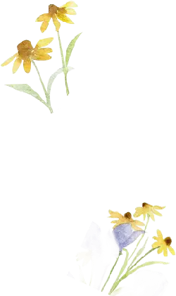 Butterfly and Sunflower - nature - Lossless PNG