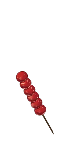 Candy Cane - holiday - Designer Recommended PNG