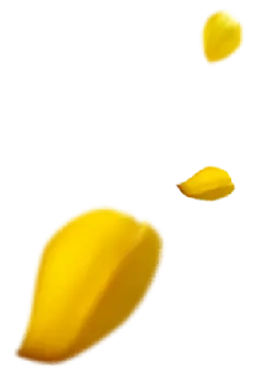 Yellow Petals - petal - Transparent Layer PNG