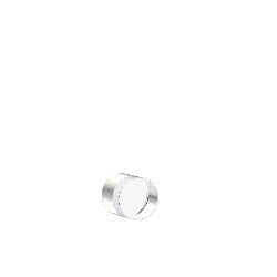Silver Ring - simple - Highly Rated PNG