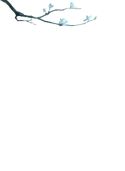 Plum Blossom Branch - minimalistic - white - High Resolution PNG