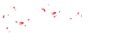 Cherry Blossom Petals Falling - nature - PNG Images