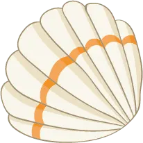 Shell - natural - No Background PNG