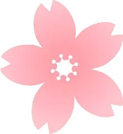 No Background PNG - Cherry Blossom - beautiful - Pic 2